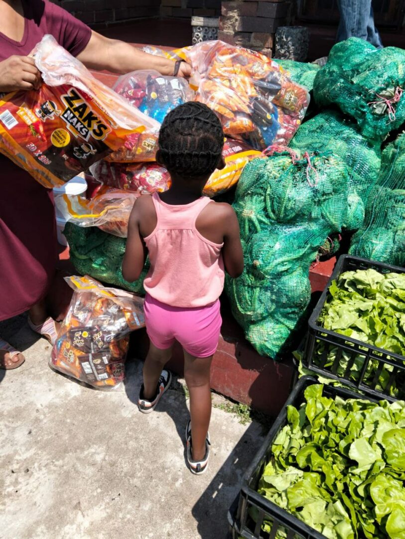 Varied donations of vegetables from the OneFarm Share programme and other SA Harvest donors