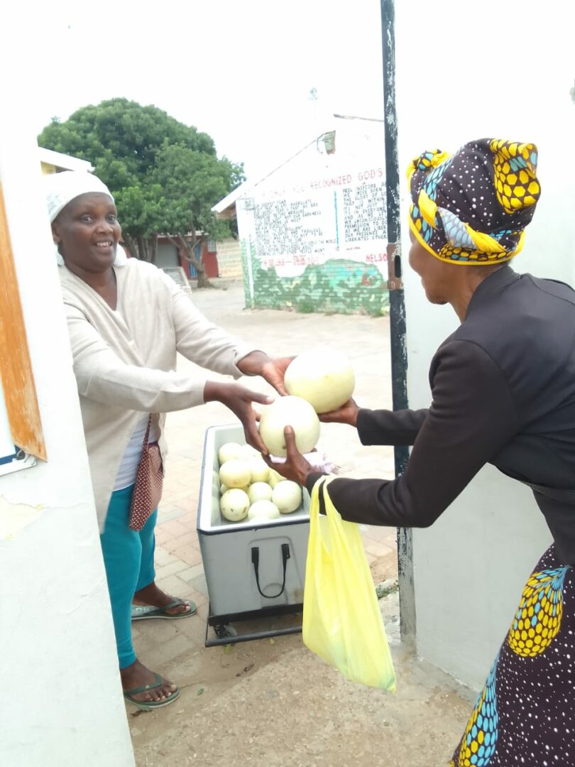 Distribution of melons in the Eastern Cape