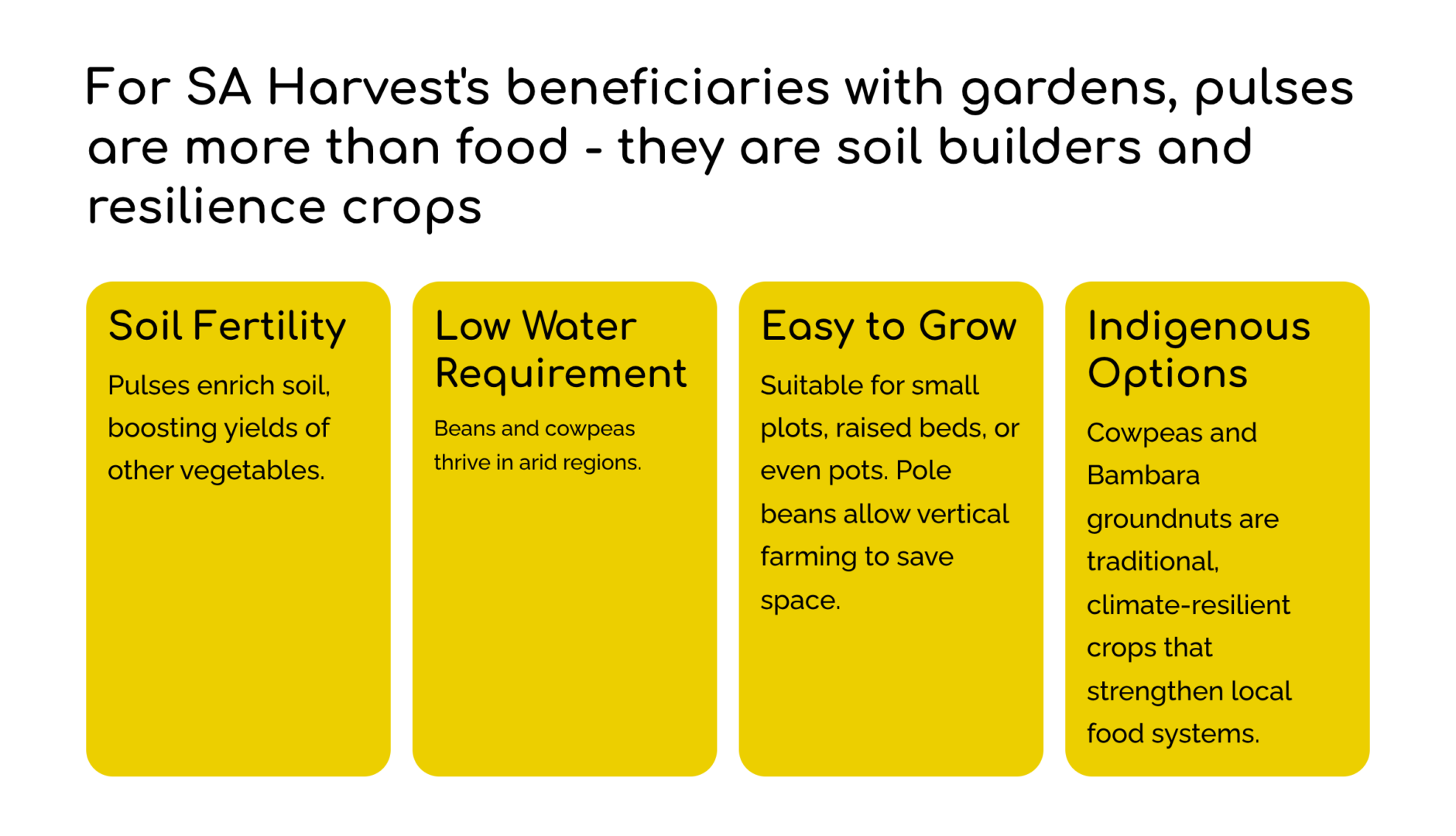 Cultivation in Beneficiary Gardens
For SA Harvest’s beneficiaries with gardens, pulses are more than food — they are soil builders and resilience crops:
Soil Fertility: Pulses enrich soil, boosting yields of other vegetables.
Low Water Requirement: Beans and cowpeas thrive in arid regions.
Easy to Grow: Suitable for small plots, raised beds, or even pots. Pole beans allow vertical farming to save space.
Indigenous Options: Cowpeas and Bambara groundnuts are traditional, climate‑resilient crops that strengthen local food systems.