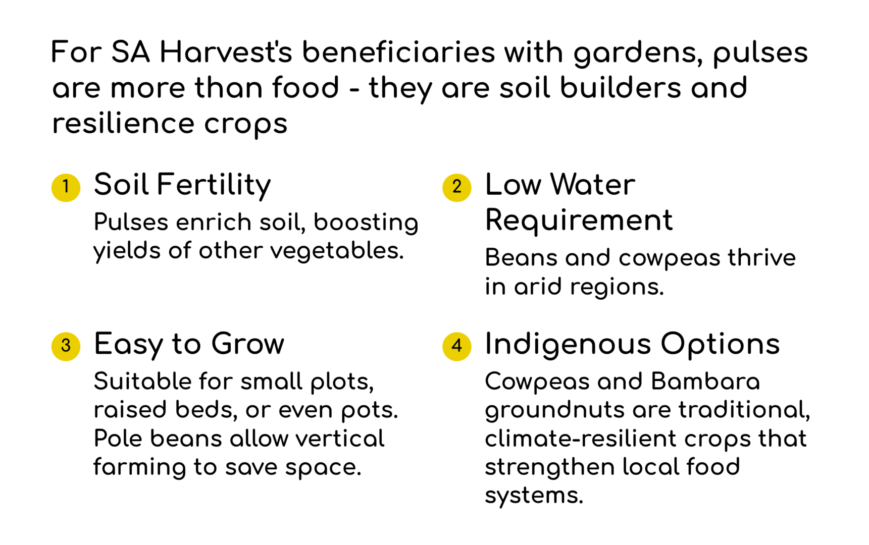 Cultivation in Beneficiary Gardens
For SA Harvest’s beneficiaries, donated pulses can be planted to create lasting impact. By growing these seeds in community gardens, families gain both nutrition and independence.
Pulses enrich the soil, improve fertility, and increase the productivity of other crops. They are easy to grow, require little water, and strengthen local food systems.
Every donated seed becomes more than a meal. When planted, it multiplies into sustainable harvests that build resilience and dignity for communities.
Soil Fertility: Pulses enrich soil, boosting yields of other vegetables.
Low Water Requirement: Beans and cowpeas thrive in arid regions.
Easy to Grow: Suitable for small plots, raised beds, or even pots. Pole beans allow vertical farming to save space.
Indigenous Options: Cowpeas and Bambara groundnuts are traditional, climate‑resilient crops that strengthen local food systems.
A vegetable garden at Omusa, a soup kitchen in Alexandra Township, Johannesburg, demonstrates the potential for growing pulses alongside other crops, transforming donated seeds into sustainable food sources for the community.

