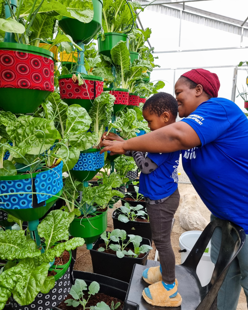 Harvest day at iThemba Kuluntu’s sustainable garden project, bringing healthy food to local children and families.